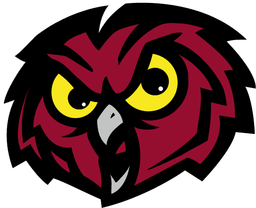 Temple Owls 1996-Pres Alternate Logo diy DTF decal sticker